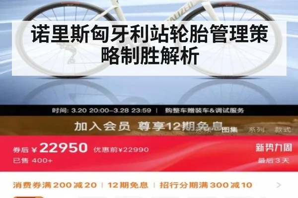 诺里斯匈牙利站轮胎管理策略制胜解析