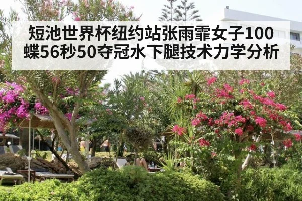 短池世界杯纽约站张雨霏女子100蝶56秒50夺冠水下腿技术力学分析
