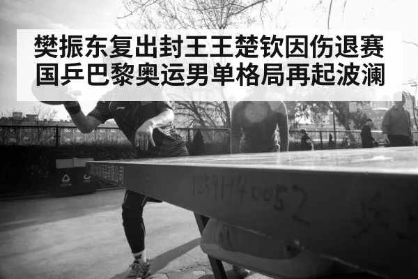 樊振东复出封王王楚钦因伤退赛 国乒巴黎奥运男单格局再起波澜